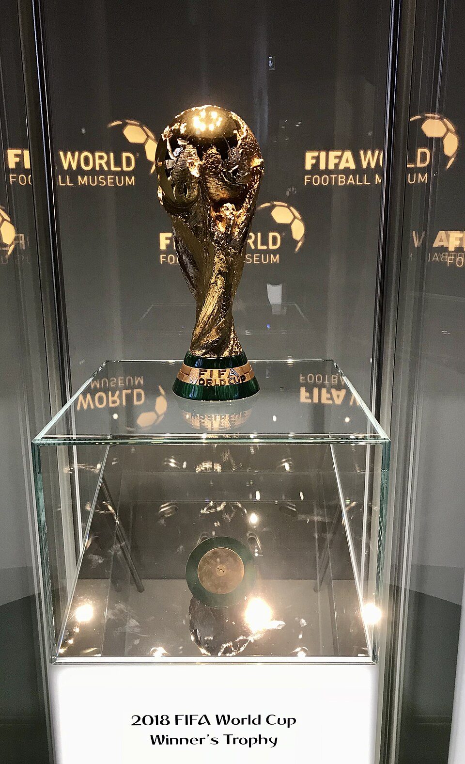 football cup trophy